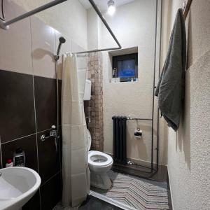 uma casa de banho com um chuveiro, um WC e um lavatório. em Calipso1 em Niš
