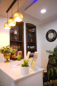 a shop with potted plants and a clock on the wall at Metekhi View Hotel in Tbilisi City