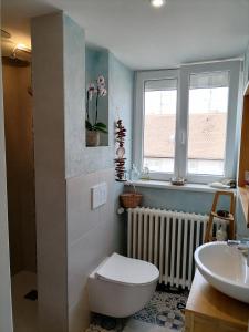 uma casa de banho com um WC, um lavatório e uma janela em Ravissante petite suite em Colmar