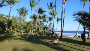 Un groupe de personnes se posant sur l'herbe près de la plage dans l'établissement KAZ à LILO, à Petite Île