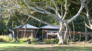 a group of trees in front of a building at KAZ à LILO in Petite Île +7 photos