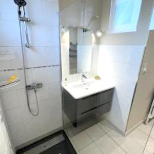 a bathroom with a sink and a shower at Maison de 3 chambres avec jardin clos et wifi a Morbier in Morbier