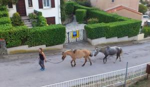Fotografia z galérie ubytovania Balcon sous le Canigou T1 40m2 cuisine séparée v destinácii Vernet-les-Bains