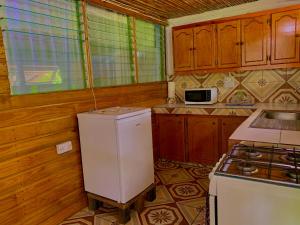 eine kleine Küche mit einem Kühlschrank und einem Herd in der Unterkunft Le Petit Paradis in Roseau
