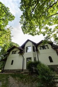 uma grande casa branca com um telhado de gambrel em Casa Mariei - Vila Breaza em Nistoreşti