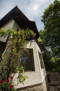 uma janela de uma casa com flores em Casa Mariei - Vila Breaza em Nistoreşti