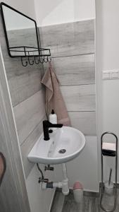 een badkamer met een wastafel en een spiegel aan een muur bij Apartmány Michal in Banská Štiavnica