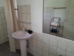 een badkamer met een wastafel en een spiegel bij Résidence de l'Est in Saint-André