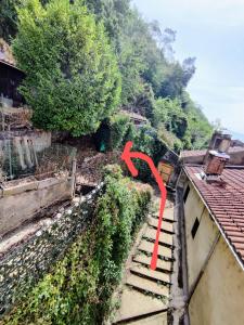 Fotografia z galérie ubytovania hébergements entiers Two homes T1 bas or T1 haut -Aux Terrasses du Pech v destinácii Foix