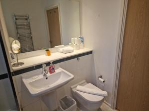 uma casa de banho com um lavatório, um WC e um espelho. em Immaculate 1-Bed Apartment in London em Londres