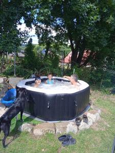 un grupo de tres niños y un perro en una bañera de hidromasaje en Pension Doctor, en Dvůr Králové nad Labem