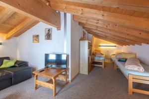 TV a/nebo společenská místnost v ubytování Appartmenthaus Bergfreund