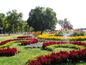 Aed väljaspool majutusasutust Vila Madams - Palić-Serbia