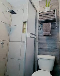 La salle de bains est pourvue de toilettes, d'une douche et de serviettes. dans l'établissement Depto San Angel 2 planta alta, en Juarez Chih Méx., à Ciudad Juárez
