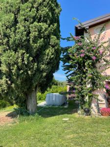 A garden outside Agriturismo valsiniga