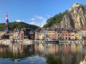 a group of buildings on the water near a river at Les Terrasses de Sax in Dinant