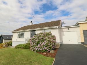 a white house with a flower bush in front of it at Cynefin in Llangefni