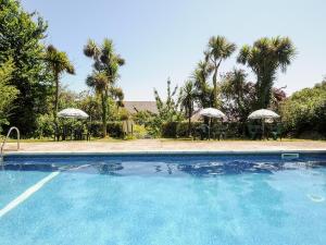 a swimming pool with tables and umbrellas and palm trees at Forge Cottage in Helston