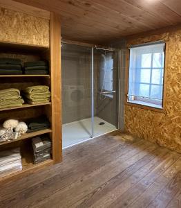 bagno con doccia e cabina doccia di Chambre dans maison originale en centre ville a Troyes