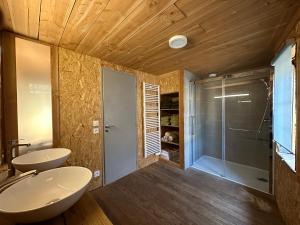 W łazience znajdują się 2 umywalki i przeszklony prysznic. w obiekcie Chambre dans maison originale en centre ville w Troyes