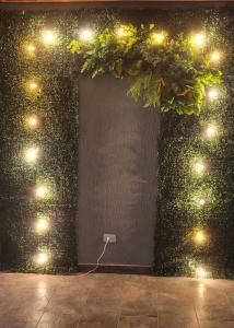 a wall with lights and plants on it at Casa campestre en el corazón de envigado in Envigado