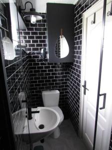 a bathroom with a white toilet and a sink at Les pieds dans l' eau in Brétignolles-sur-Mer +59 photos