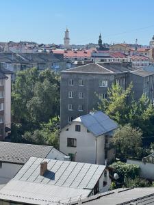 uma vista para uma cidade com edifícios e telhados em Bulvar em Ivano-Frankivsʼk