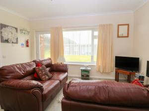 a living room with a leather couch and a television at 31 Siesta Mar Chalet Park in Norwich