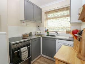a small kitchen with a stove and a sink at 31 Siesta Mar Chalet Park in Norwich