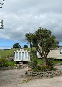 a palm tree in front of a house at Snowdon Retreat in Llanrug