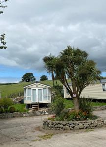 una palmera frente a una casa en Snowdon Retreat, en Llanrug