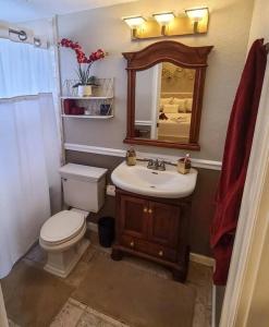 a bathroom with a toilet and a sink and a mirror at Romance in the City 1 Bdrm Studio in Downtown St Pete in St Petersburg