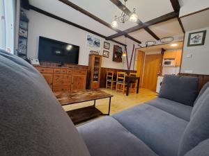 ein Wohnzimmer mit einem Sofa und einem TV in der Unterkunft WIFI COMO EN TU CASA Canfranc Estación in Canfranc-Estación