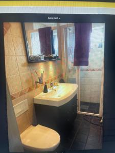 een badkamer met een wastafel en een toilet bij Solsiden in Trondheim