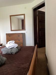 um quarto com uma cama com uma cómoda e um espelho em GORGANY resort & SPA em Yablunytsya