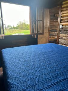 Cama azul en habitación con ventana en Complejo Las Lechuzas Cabaña 1 en San Miguel del Monte