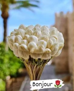 Dar El Yasmine 2 في Kerkouene: باقة من الزهور البيضاء جالسة على طاولة