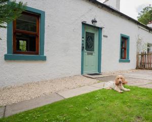 a dog laying on the grass in front of a house at Tig Cottage - a rural, quirky, pet friendly 2 bedroom cottage near Ballantrae in Ballantrae
