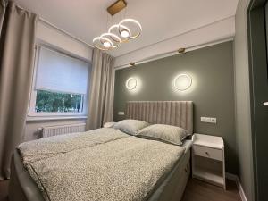 1 dormitorio con cama y espejo grande en MISVEST Tomasz SCCS Śląskie Centrum Chorób Serca en Zabrze