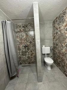 uma casa de banho com um chuveiro e um WC. em Apartmani nisicka oaza 2 em Ilijaš