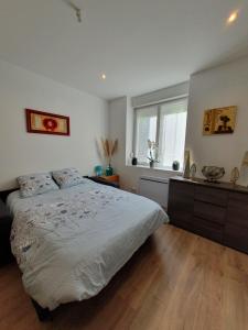 een slaapkamer met een groot bed en een raam bij Appartement Savane in Nancy