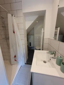 een witte badkamer met een douche en een wastafel bij Appartement Savane in Nancy