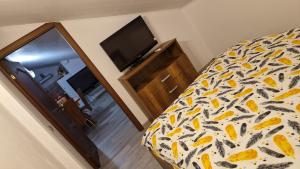 a bedroom with a bed and a flat screen tv at Casa lui Dumitru in Cheriu