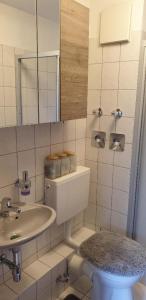 y baño con lavabo, aseo y espejo. en Ferienwohnung in Radeberg bei Dresden, en Radeberg