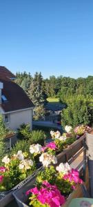 balcón con flores y vistas al río en Ferienwohnung in Radeberg bei Dresden, en Radeberg