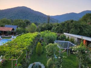 einen Garten mit Pflanzen und Bäumen in der Unterkunft Guest House Gardenia & Wine Cellar in Lagodechi