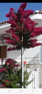 een boom met roze bloemen voor een gebouw bij Luxury Dennis Home in Sarandë