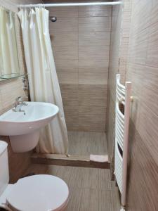 a bathroom with a shower with a sink and a toilet at Artush & Raisa B&B in Gyumri