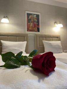 a red rose sitting on top of a bed at Villa Regina - Spokojna okolica - 100 metrów od lasu in Kościerzyna