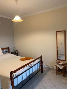 a bedroom with a large bed and a mirror at villa kastanos in Amaliapoli